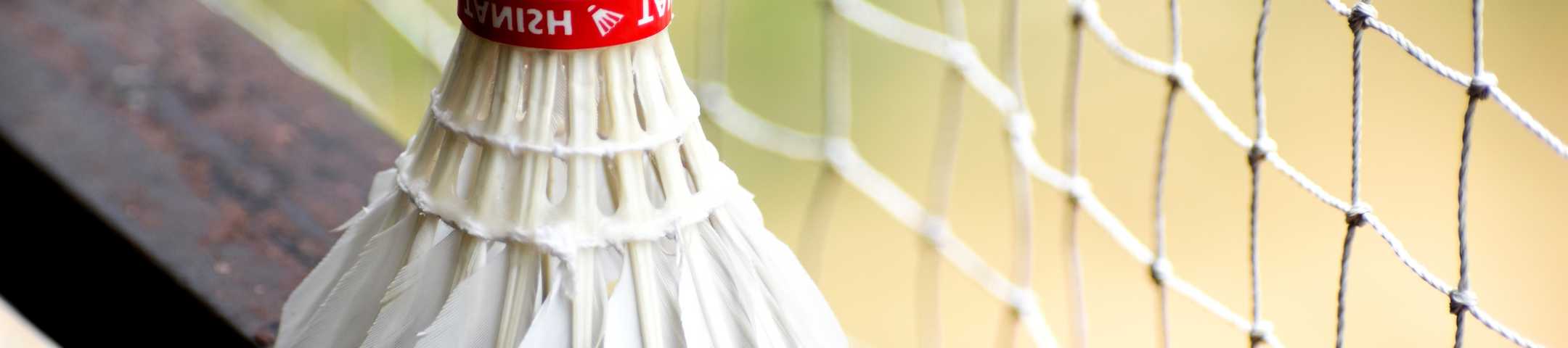 Badmintonnet