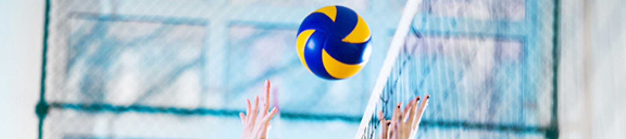 Volleybalnetten
