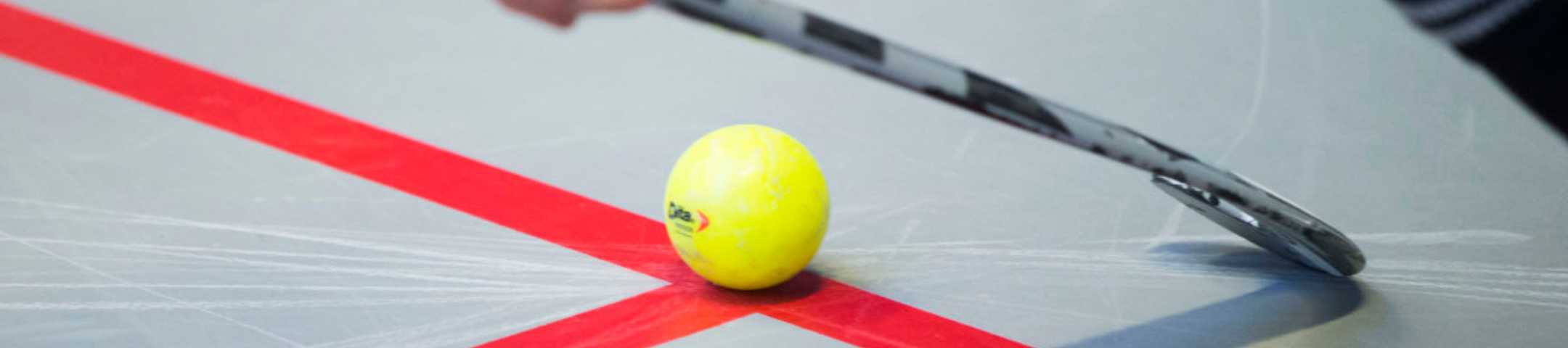 Zaalhockeynet