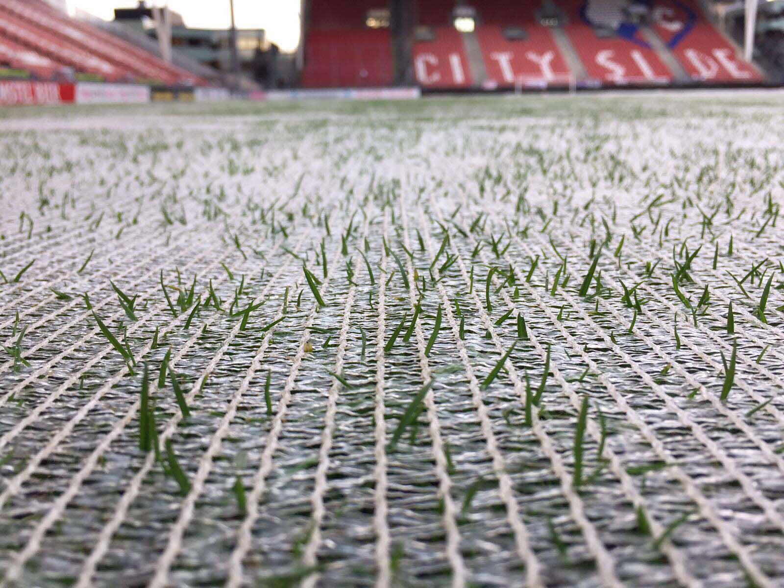 voetbalveld met een afdek zijl of klimaatdoek op het gras